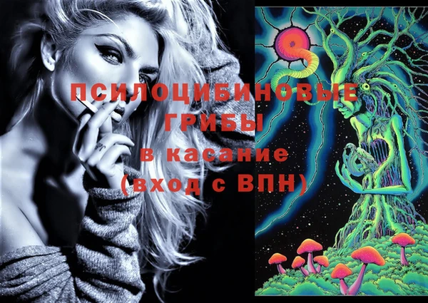 прущий лед Гатчина
