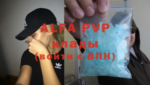 шишки Приозерск
