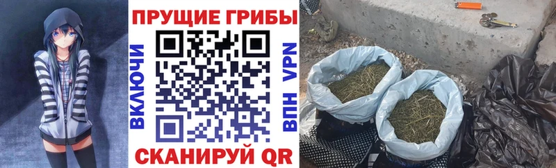 Псилоцибиновые грибы мухоморы  OMG сайт  Весьегонск  где купить наркоту 